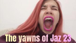 The yawns of Jaz 23