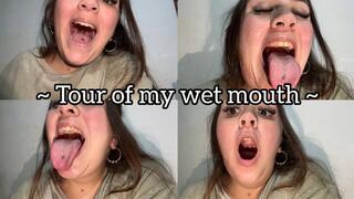 Tour of my wet mouth