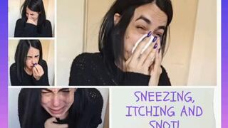 Sneezing, itching and snot