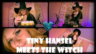 Tiny Hansel Meets The Witch 1080 MP4