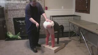 Lucy: Plugged & Spanked in Box Stocks