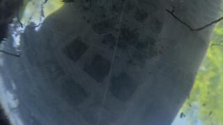 Volleyball Player Buries & Stomps Camera Into the Ground With Her Worn Nike Air Max (Fisheye Underground POV) 4K
