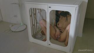 Asian Chastity Pet Locked in a Transparent Cage