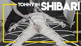 Tonny in Shibari by Brenno Furrier (1080p) Gay Bondage - Gay Domination - Male Bondage - Foot Fetish - BDSM - Ropes - C4SBondage26