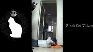 live show with Alice from 14 november 2022