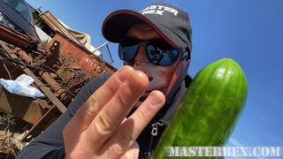 Anal training for a filthy slag - Master Bex - MP4 SD