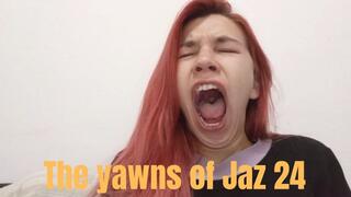 The yawns of Jaz 24