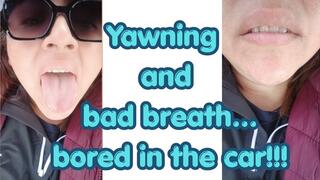Yawning and bad breath... bored in the car