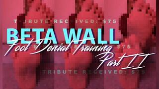Beta Wall Pixel Ruin 2