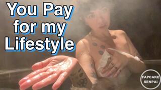 You Pay for my Lifestyle