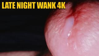 Late Night Wank 4K