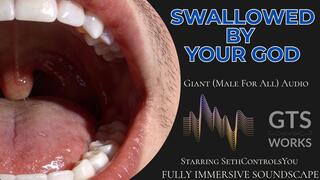 Inside His Belly - Giant Male Oral Vore Domination - Swallowed Whole Immersive JOI POV Audio by GTS Works [MP3]