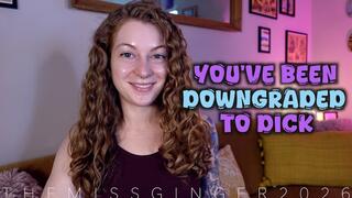 You've Been Downgraded To Dick