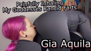 On Your Knees...Inhaling My Farts...Like the Good Little Bitch that you Are! - Gia Aquila