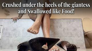 Crushed under the heels of the giantess and Swallowed like Food!