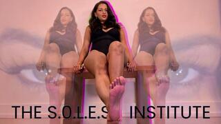 The S.O.L.E.S. Institute