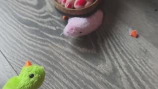 Carina crushed little toy chicks and bunnies
