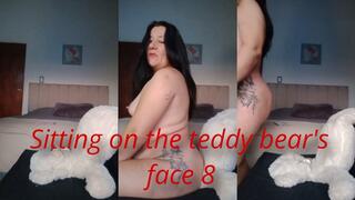 Sitting on the teddy bear's face 8