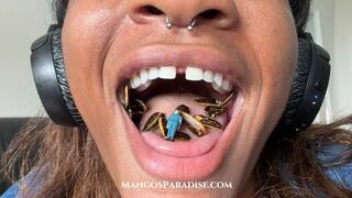 Found In The Mix | Giantess Vore Fantasy with Temptress Mango