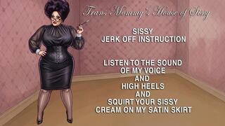 AUDIO ONLY - SISSY JOI ONTO MY SATIN SKIRT