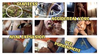 GIANTESS - ACCIDENTAL VORE - ANAL EXPULSION - PEE PUNISHMENT