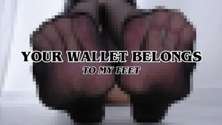 YOUR WALLET BELONGS TO MY FEET