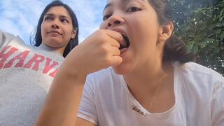 Devouring Teddy Bears - Gobbling Up Like Crazy