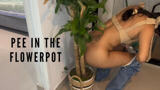 Pee in the flowerpot: They wouldn't let me use the bathroom (Two POVs of Relief)