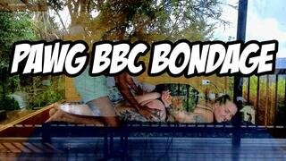 PAWG BBC Bondage