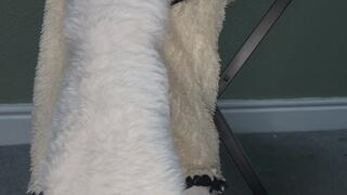 2 Minutes Of My Fluffy Socks Getting More Attention Than You Lol