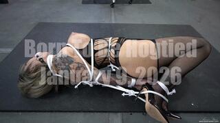 Born To Be Hogtied 2026