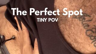 The Perfect Spot (Tiny POV)