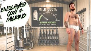 Enslaved cow 4 milking