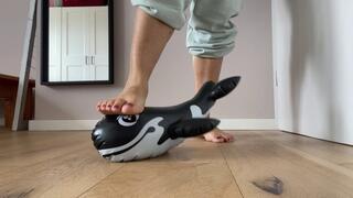 Trampling on shark till it leaked