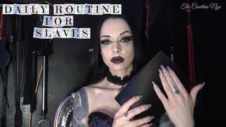 MISTRESS NYX - DAILY ROUTINE FOR SLAVES