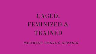 Caged Feminized and Trained