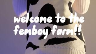 milking cow(bois) on the femboy farm!!