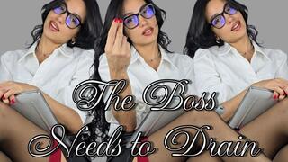 The Boss need a Drain - Findom