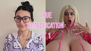 True Bimbofication - Part 1