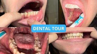 Dental Tour: Deep Close-Up Brushing