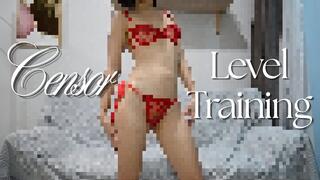 Censor Level Training
