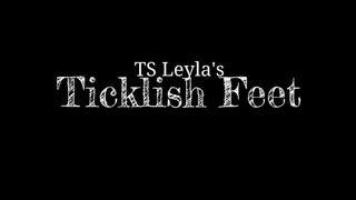 TS Leyla's Ticklish Feet (1080p)