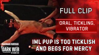 Too Ticklish IML Pup Begs For Mercy And Taps Out!