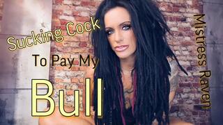 SUCKING COCK TO PAY MY BULL