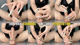 How Will I Play With Your Penis? | Urethral Sounding - Urethral Penetration - Scratching The Penis - Teasing The Penis | LINH'S LONG NAIL | CRAZY ABOUT LONG AND NATURAL NAILS