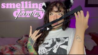 Smell my dirty panties with me
