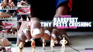 Tinnies Gets Crushed Barefeet - Shrinking Fetish, Sneaker Fetish, Crushing, Ebony Feet Fetish