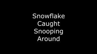 Snowflake in Caught Snooping Around