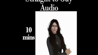 Straight to Gay Audio