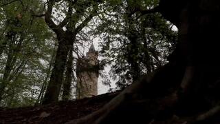 Beelzicke - savage wench in a cage